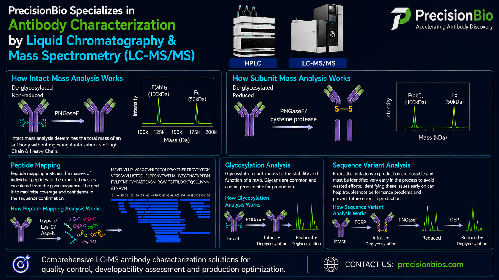 Antibody Characterization by Liquid Chromatography and Mass Spectrometry (LC-MS/MS)