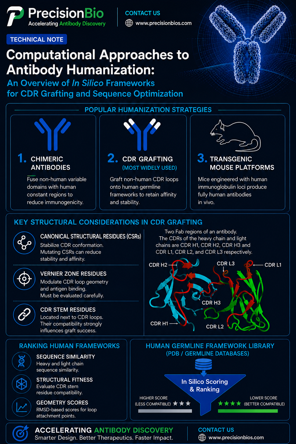 Computational Approaches to Antibody Humanization