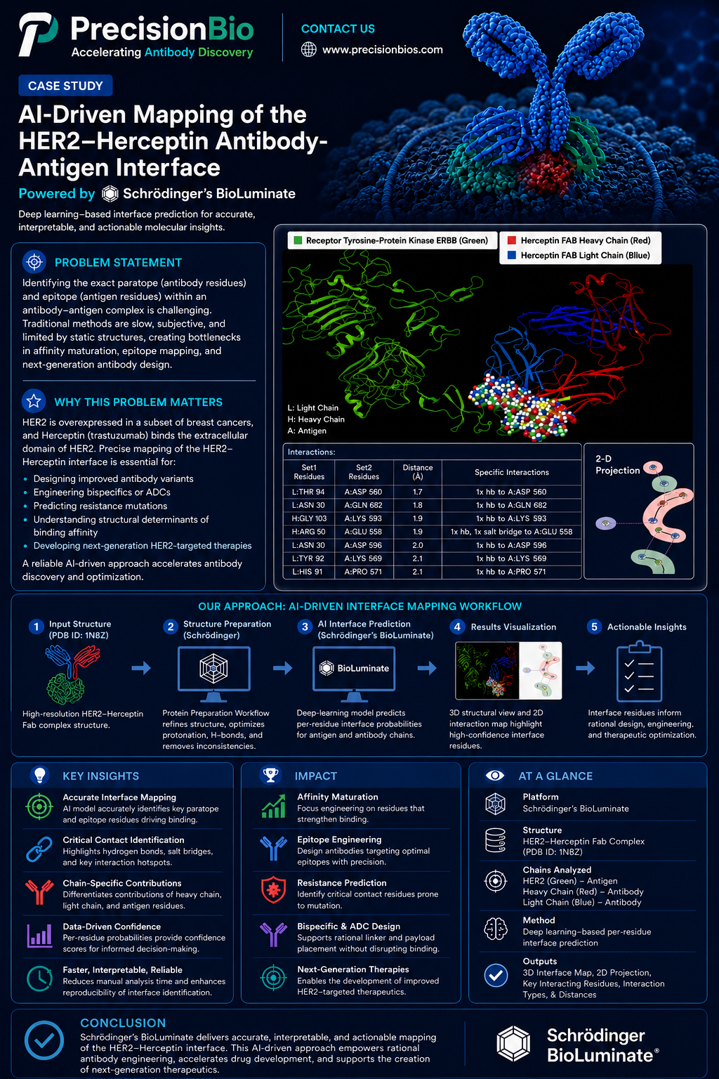 AI-Driven Mapping of the HER2-Herceptin Antibody-Antigen Interface