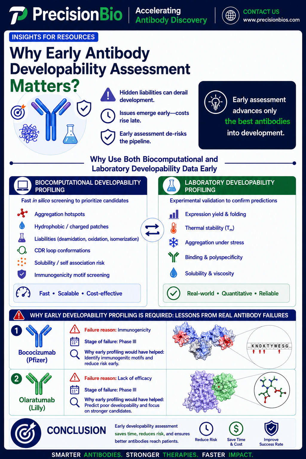 Why Early Antibody Developability Assessment Matters?