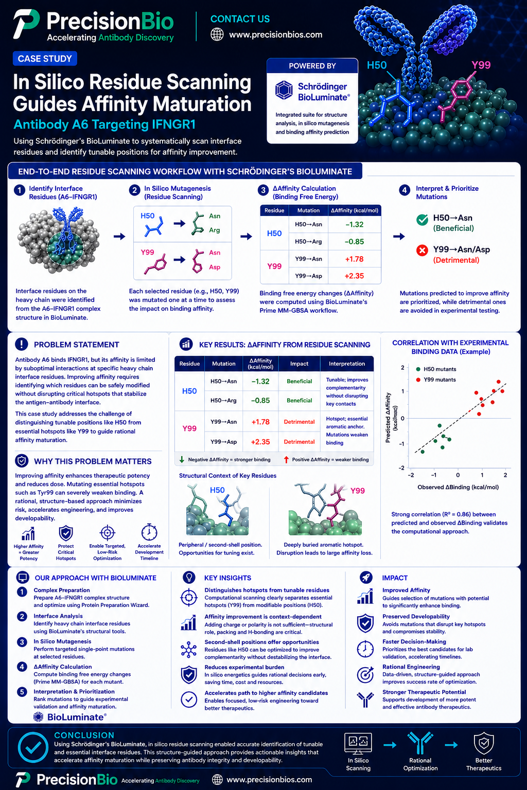 In Silico Residue Scanning Guides Affinity Maturation