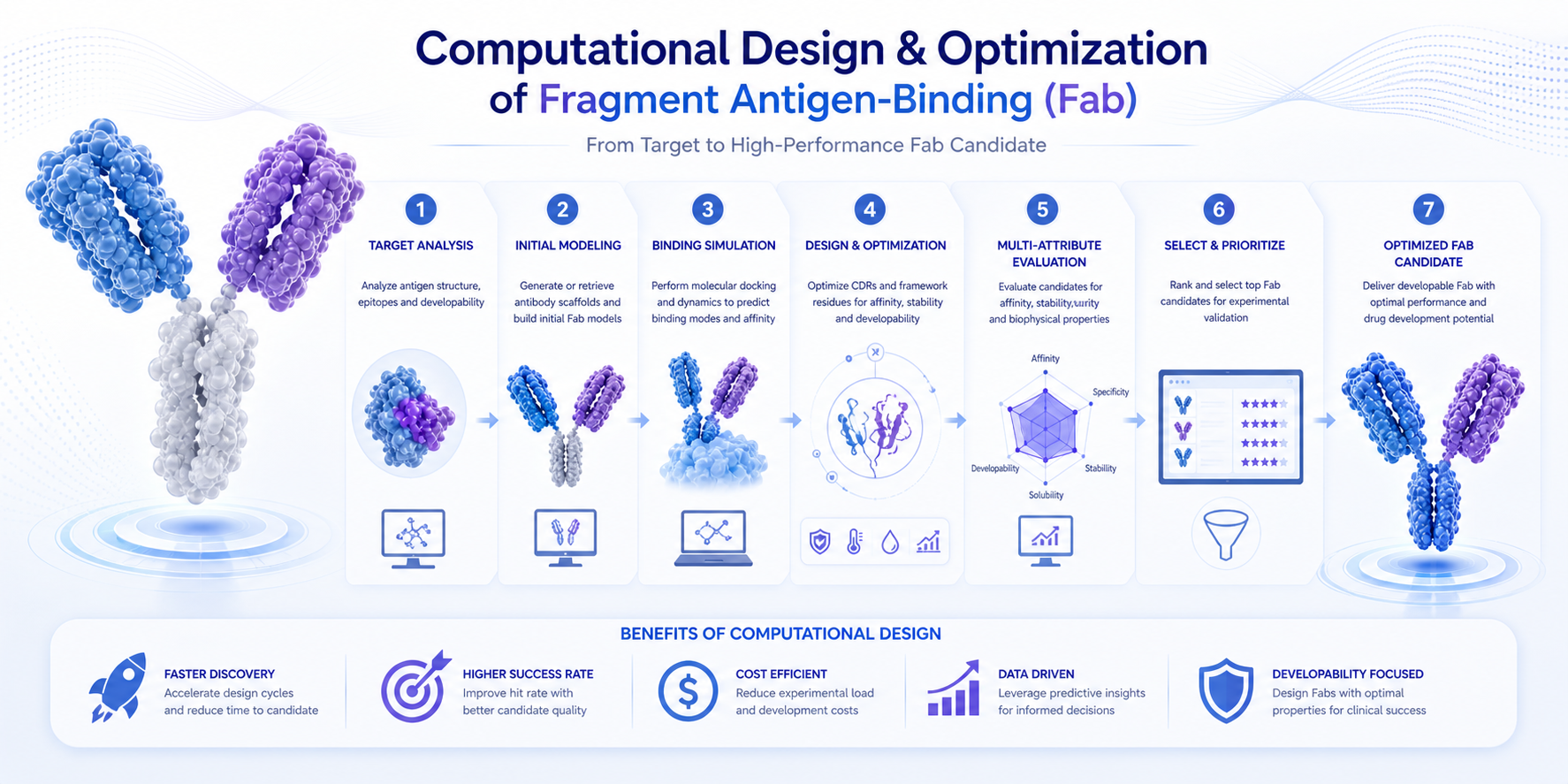 Computational design and optimization of Fab