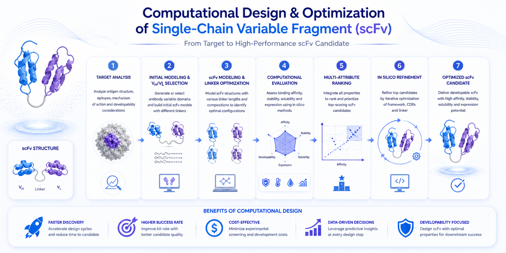 Computational design and optimization of scFv