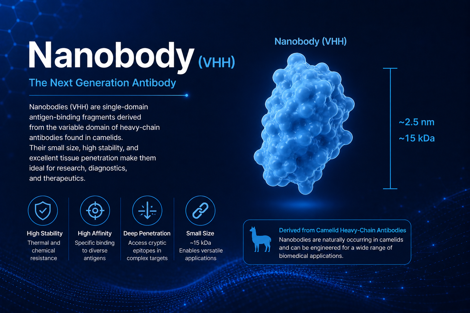 VHH nanobody structure